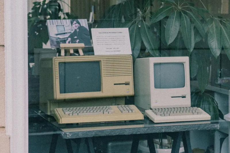 Holding the Line: The Diehards Who Never Left Windows XP Behind